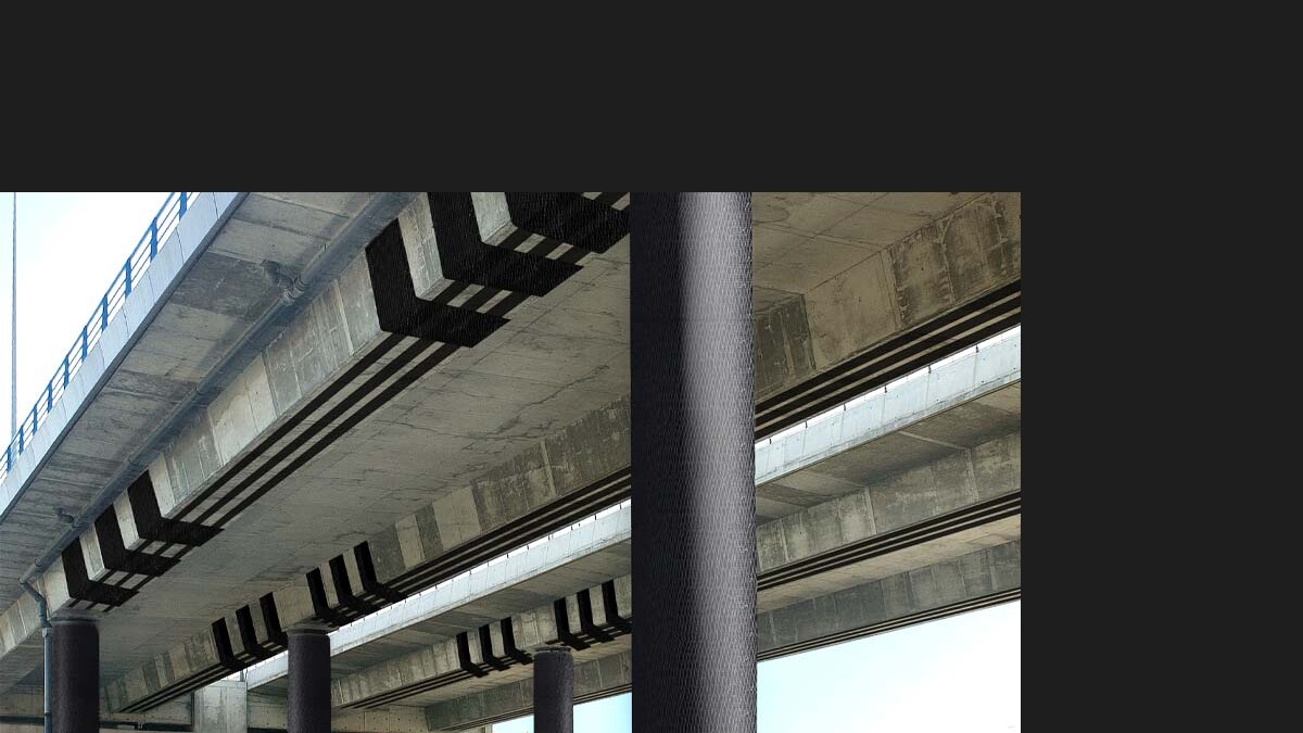 frp_webinar_pt_website.jpg frp_webinar_pt_website.jpg